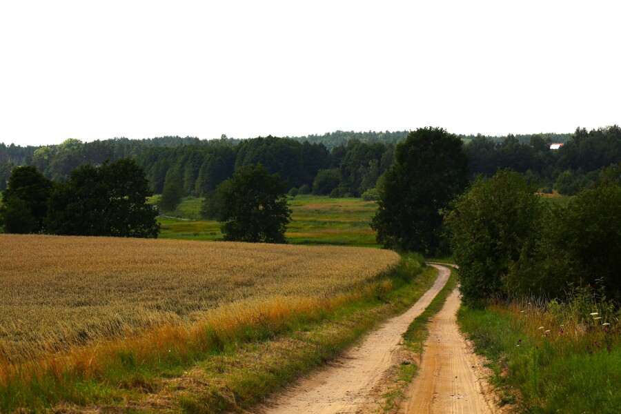 kościerski, Stara Kiszewa, Stara Kiszewa, Działka na sprzedaż