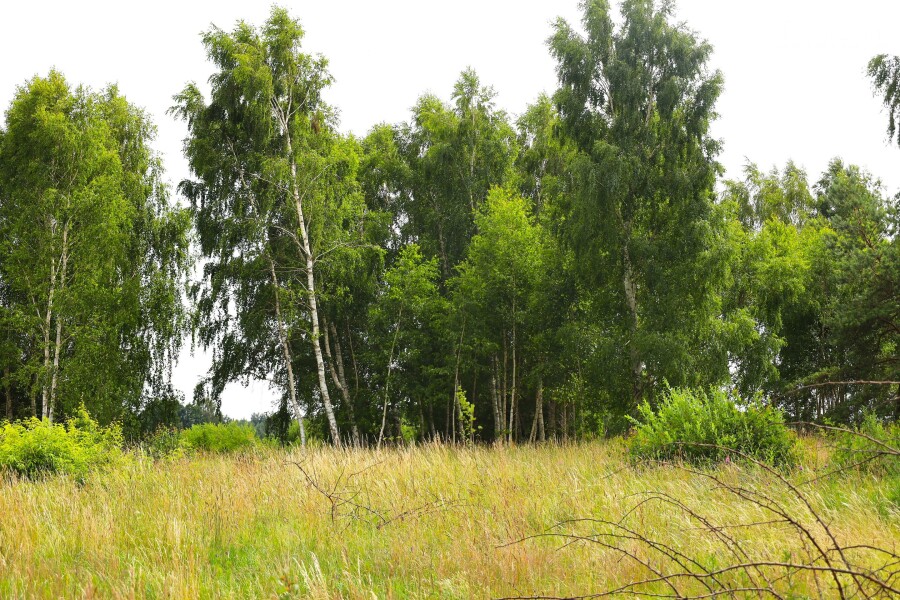 kościerski, Stara Kiszewa, Stara Kiszewa, Działka na sprzedaż