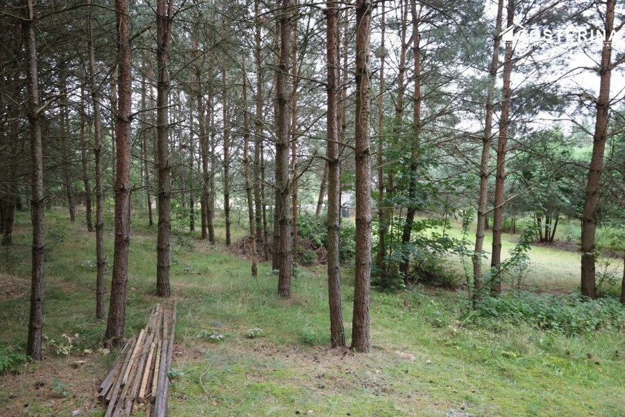 kościerski, Dziemiany, Kalisz, Dom na sprzedaż