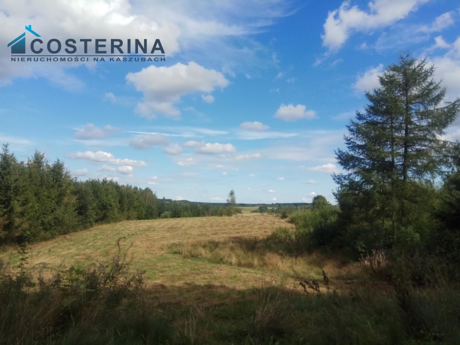 kościerski, Nowa Karczma, Szpon, Działka na sprzedaż